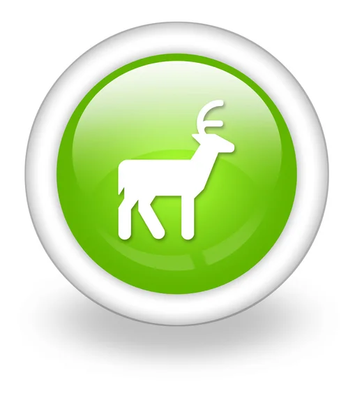 Icon, Button, Pictogram Deer — Stock Photo, Image