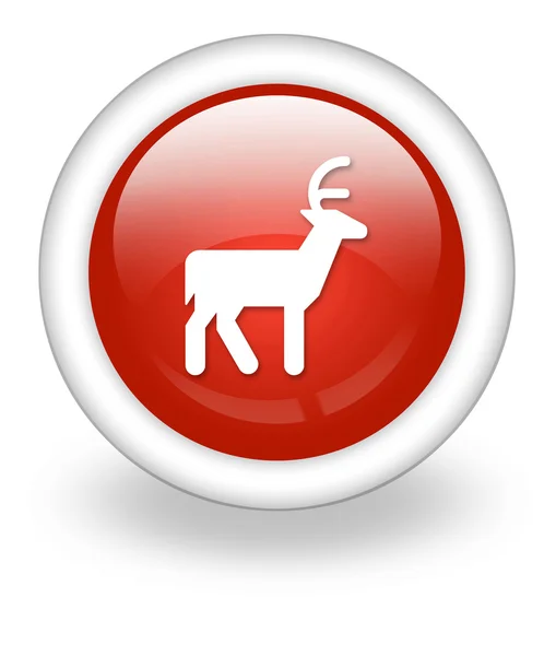 Icône, Bouton, Pictogramme Cerf — Photo