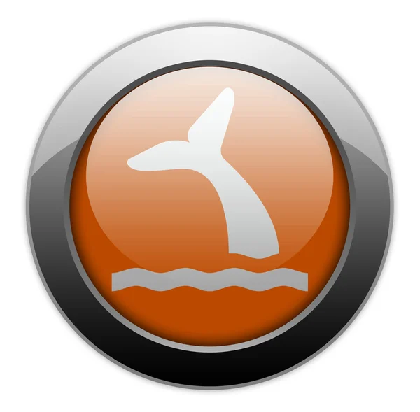 Icon, Button, Pictogram Whale — Stock Photo, Image