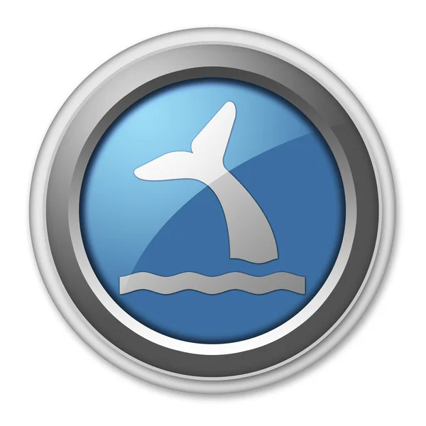 Pictogram, knop, Pictogram walvis — Stockfoto