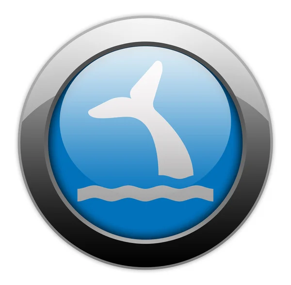 图标，按钮，象形图鲸鱼 — 图库照片