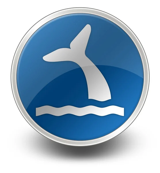 Pictogram, knop, Pictogram walvis — Stockfoto