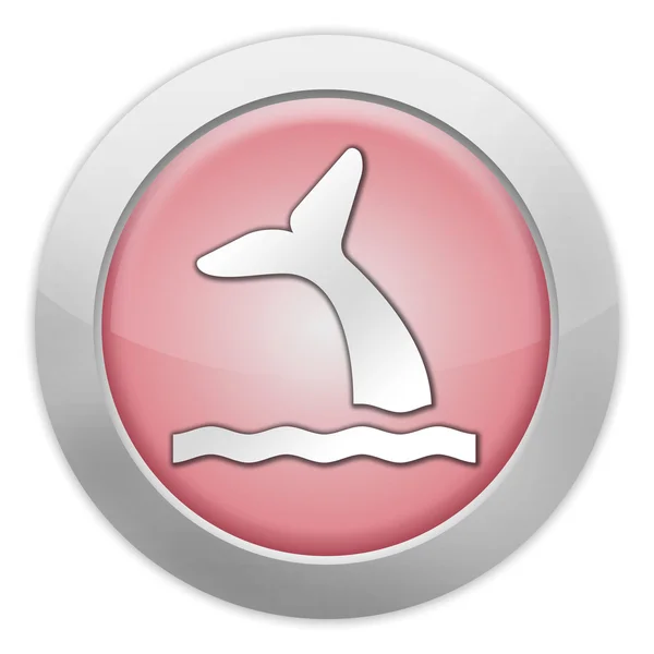 Pictogram, knop, Pictogram walvis — Stockfoto