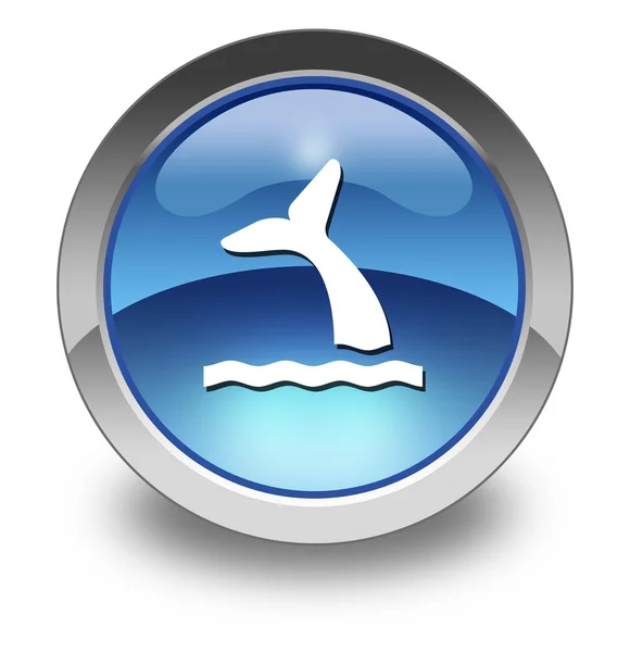 Pictogram, knop, Pictogram walvis — Stockfoto