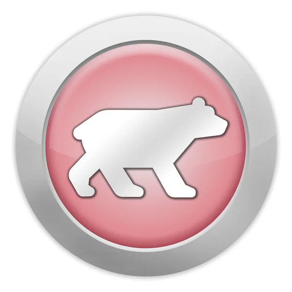 アイコン、ボタン、ピクトグラム クマ — ストック写真