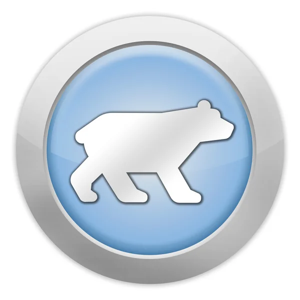 Icon, Button, Pictogram Bear — Stock Photo, Image