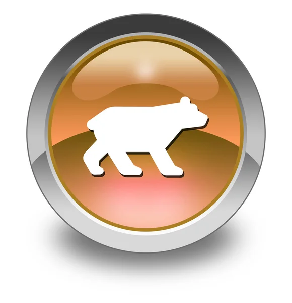 Icon, Button, Pictogram Bear — Stock Photo, Image