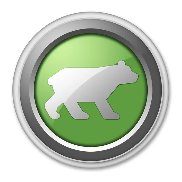 アイコン、ボタン、ピクトグラム クマ — ストック写真
