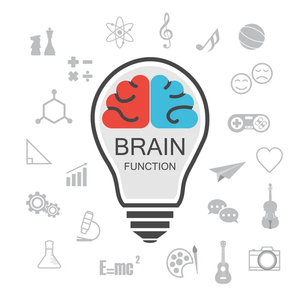 Analysis and creative brain — Stock Vector