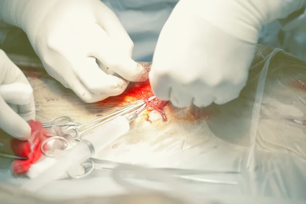 Working hands of surgeon and assistant — Stock Photo, Image