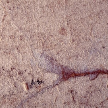 Eski kağıt fiber arka plan dokusu