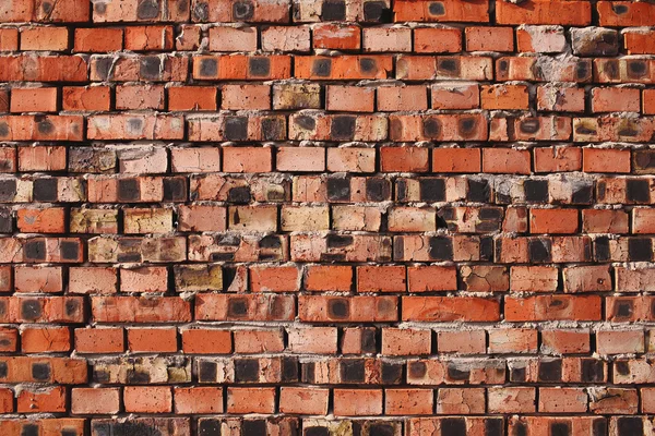 레드 불 벽돌 벽 배경 — 스톡 사진