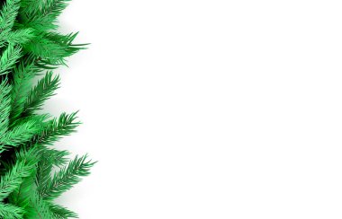 Beyaz arka planda bulunan ladin dalları. Vektör Noel ağacı.