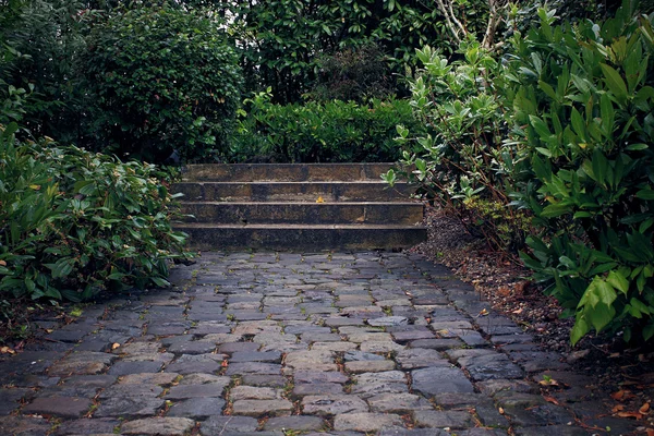 Marches en pierre dans le vieux jardin — Photo
