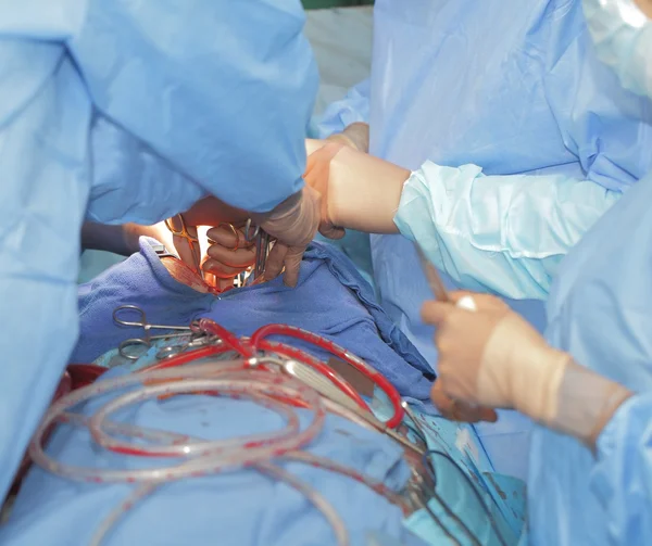 Surgical team working — Stock Photo, Image