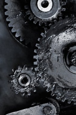 Ekip çalışması Pinyonlar