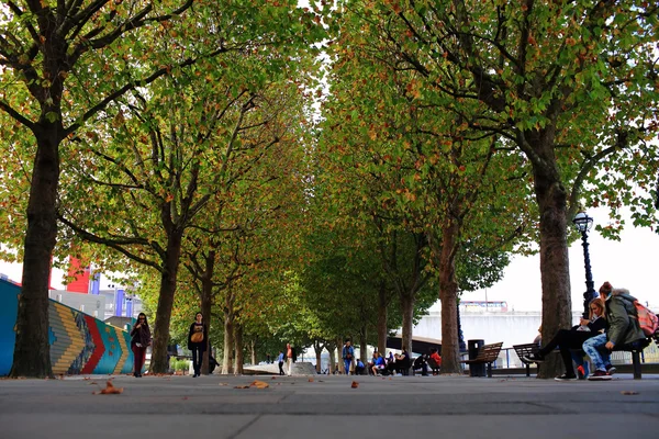 Londra dolgu yeşil ağaçlar park — Stok fotoğraf