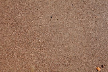 ıslak kum arka plan