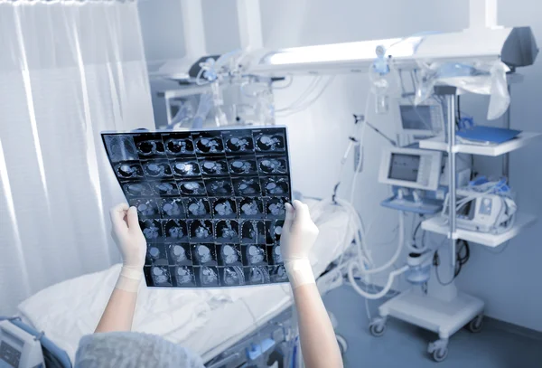 Медичний фахівець вивчає комп'ютерне сканування в палаті — стокове фото