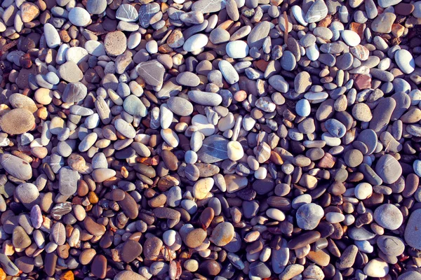 Красочные гальки на пляже — стоковое фото