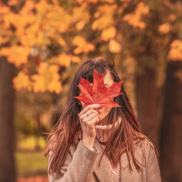 Krásný Podzim Mladá Žena Červeným Javorovým Listem Procházce Parku Podzimní — Stock fotografie