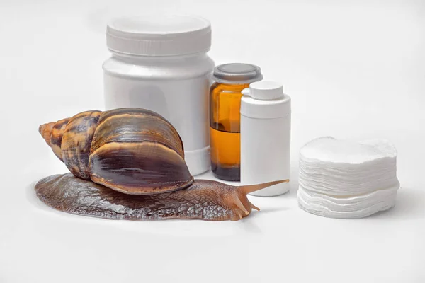 Achatina fulica, giant snail on a white background, cosmetic jars and cotton pads, the use of snails and their mucus in cosmetology