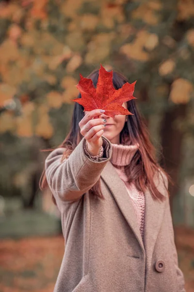 Złota Jesień Kobieta Płaszczu Czerwonym Liściem Klonu Tle Natury — Zdjęcie stockowe