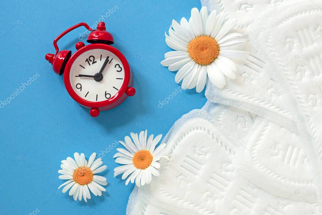 feminine sanitary pads, white chamomile flowers, alarm clock on blue background, concept of feminine health and hygiene, menopause, periodic menstruation
