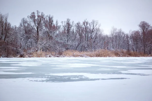 Зимний Природный Ландшафт Замерзшая Зима Река Заснеженный Лес Панорама — стоковое фото