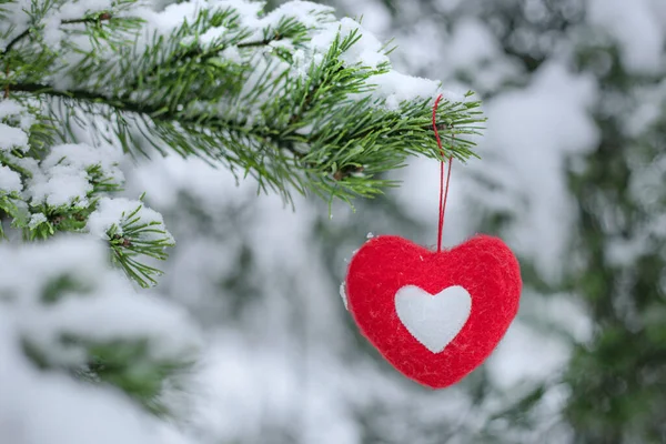 Kış Ormanlarındaki Bir Dalda Asılı Kırmızı Yumuşak Kalp Aşkın Mutluluğun — Stok fotoğraf