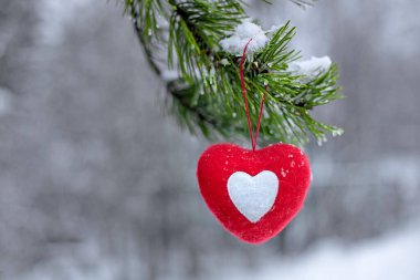 Kış ormanlarındaki bir dalda asılı kırmızı yumuşak kalp, aşkın ve mutluluğun sembolü, sevgililer günü için sürpriz.