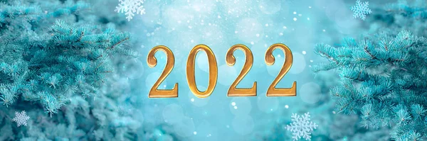 Belle Bannière Nouvelle Année 2022 Avec Branches Épinette Bleue Flocons — Photo