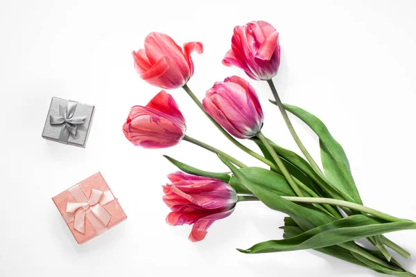 Beautiful Fresh Tulips White Background Small Gift Boxes Congratulations March — Stock fotografie