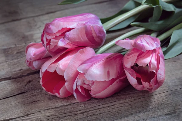 Букет Свежих Розовых Тюльпанов Деревянном Столе День Матери День Бабушки — стоковое фото