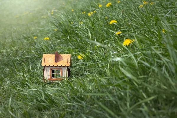 Modell Eines Holzhauses Auf Einer Grünen Rasenfläche Das Konzept Des — Stockfoto