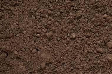 Kara toprak arka planı, toprak dokusu üst görünüm düzeni, dağınık kahverengi toprak ve topaklar.