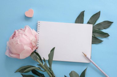 Notlar için defter, mavi arka planda şakayık çiçeği ve kalem, hedef belirleme konsepti, yaz için planlar, dilek listesi, alışveriş