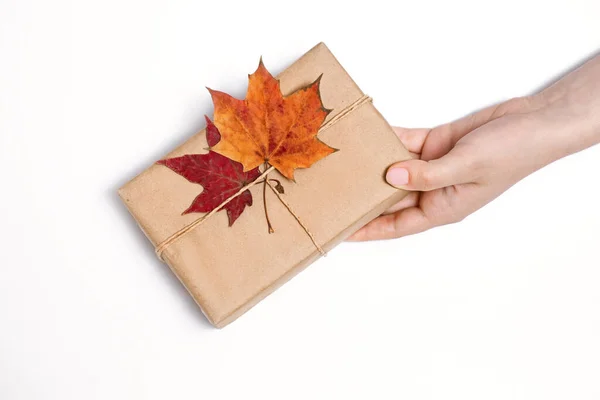 Craft Gift Female Hand White Background Autumn Concept Two Maple — Stock Photo, Image