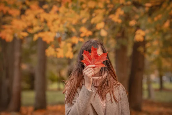 Portrét Mladé Ženy Podzim Parku Tváři Javorový List Podzimní Období — Stock fotografie