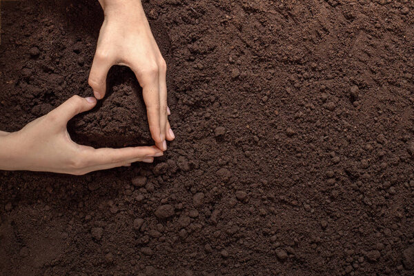 hands in the shape of a heart on a background of soil, the concept of love for garden and agriculture, natural organic products