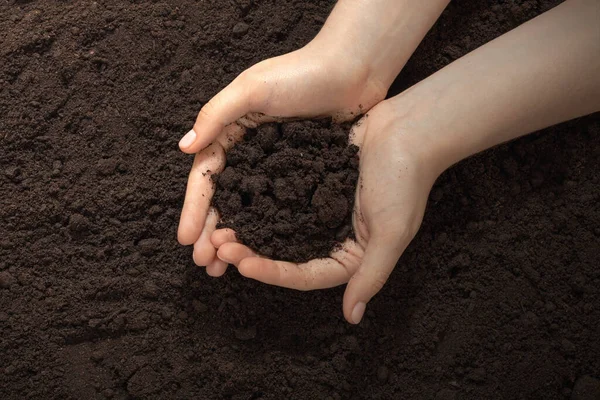 Tierra Manos Femeninas Cultivo Tierras Agricultura Jardinería Primavera Cuidado Naturaleza —  Fotos de Stock