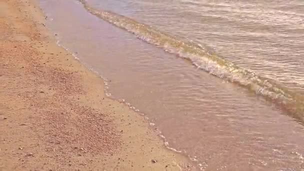 Olas en la orilla del mar, olas rodar en la arena en la orilla, la playa está desierta, la soledad en el viaje — Vídeo de stock