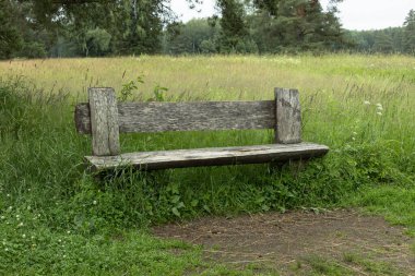 Parktaki eski ahşap bank, rahatlama ve yalnızlık için bir yer, unutulmuş bir yer kavramı, terk edilme, ihmal.,