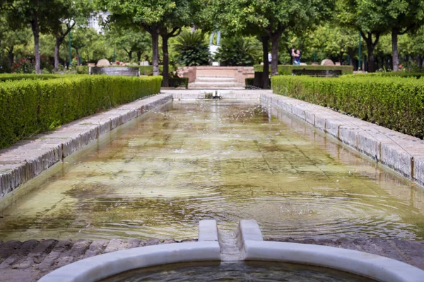 Málaga Andalucía España Julio 2019 Jardines Pedro Luis Alonso Málaga —  Fotos de Stock