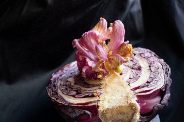 Kırmızı lahana, yarım kesilmiş lahana güzel pembe bir çiçek filizlenmiş siyah arka planda leylak yaprakları, koyu renkli bir fotoğraf, uzaylı yemeği çiçeği.