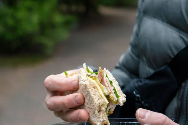 Bir Adamın Elindeki Sandviçi Isırmak Parkta Atıştırmak — Stok fotoğraf