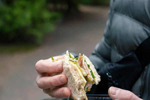 Bissbrötchen Der Hand Eines Mannes Imbiss Draußen Park — Stockfoto