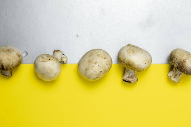 Bir grup şampiyon mantar gri sarı zemin üzerinde düz metin için ücretsiz bir kopya yatıyordu