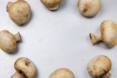 Gri arkaplandaki şampiyon mantarları çerçevesi ve metin için ücretsiz bir kopya