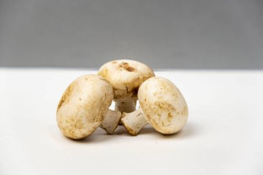 Beyaz gri arkaplanda mantarlar ve metin için ücretsiz bir kopya